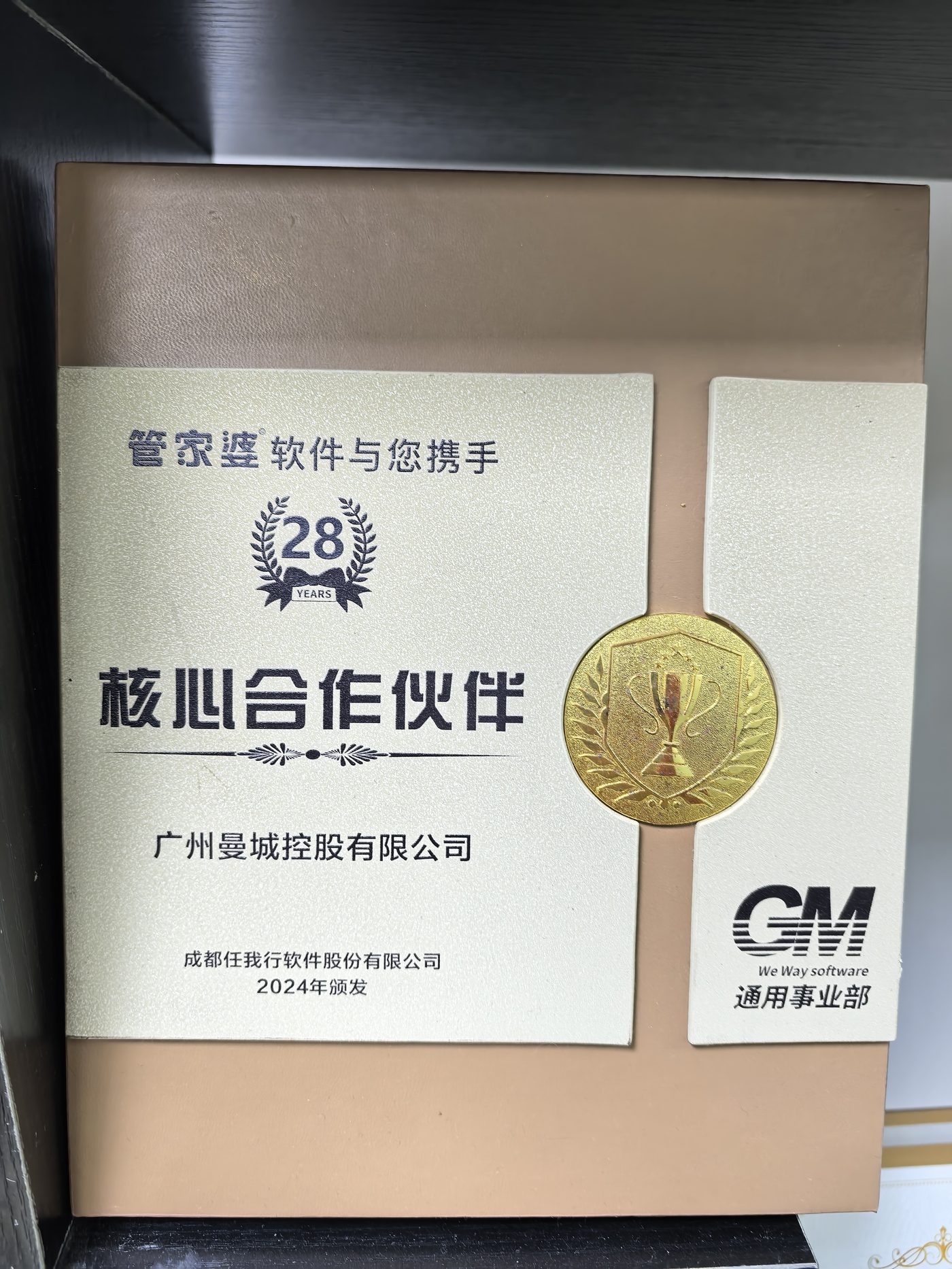 管家婆核心合作伙伴 2024（28周年）