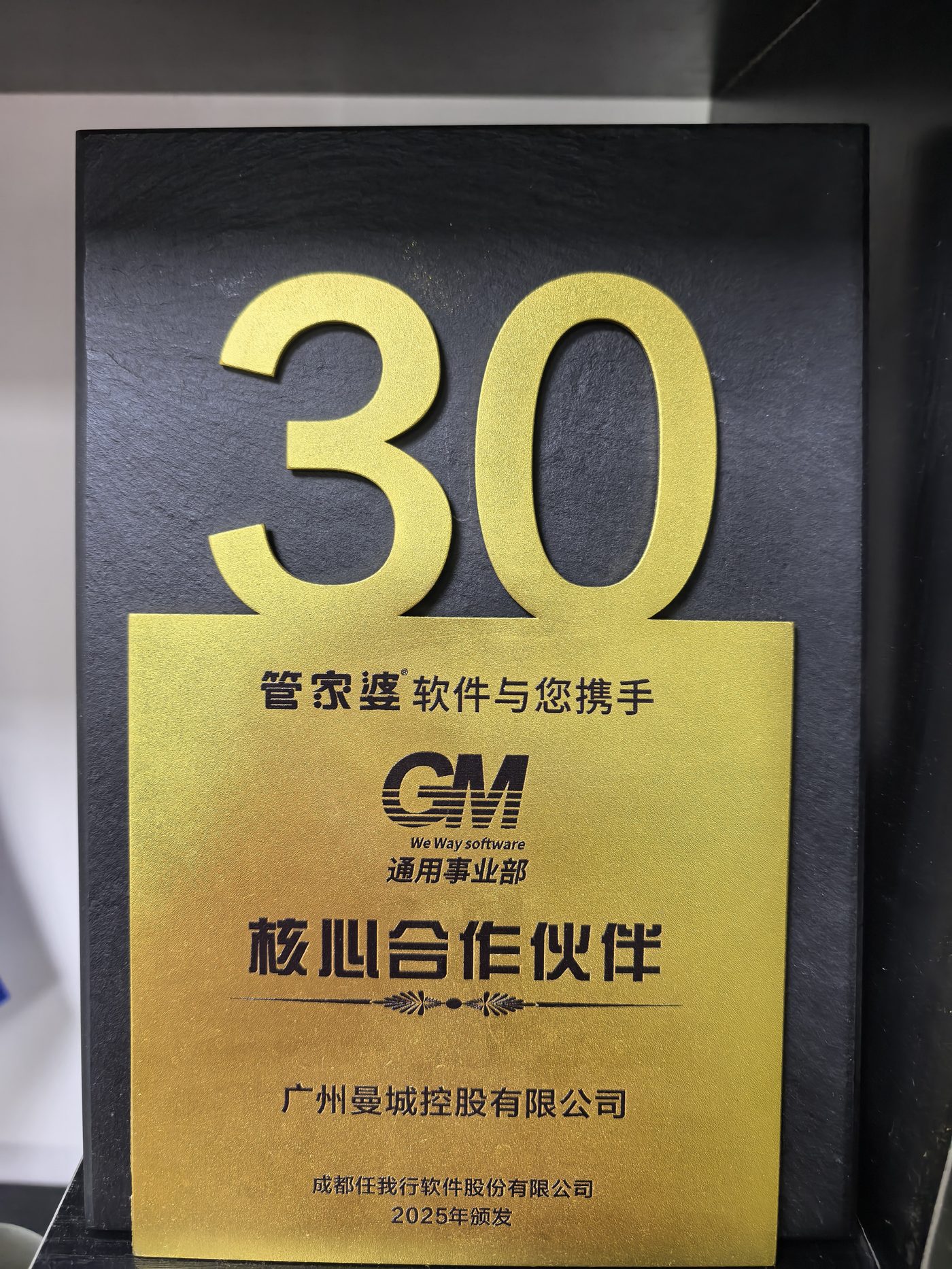 管家婆核心合作伙伴 2025（30周年）